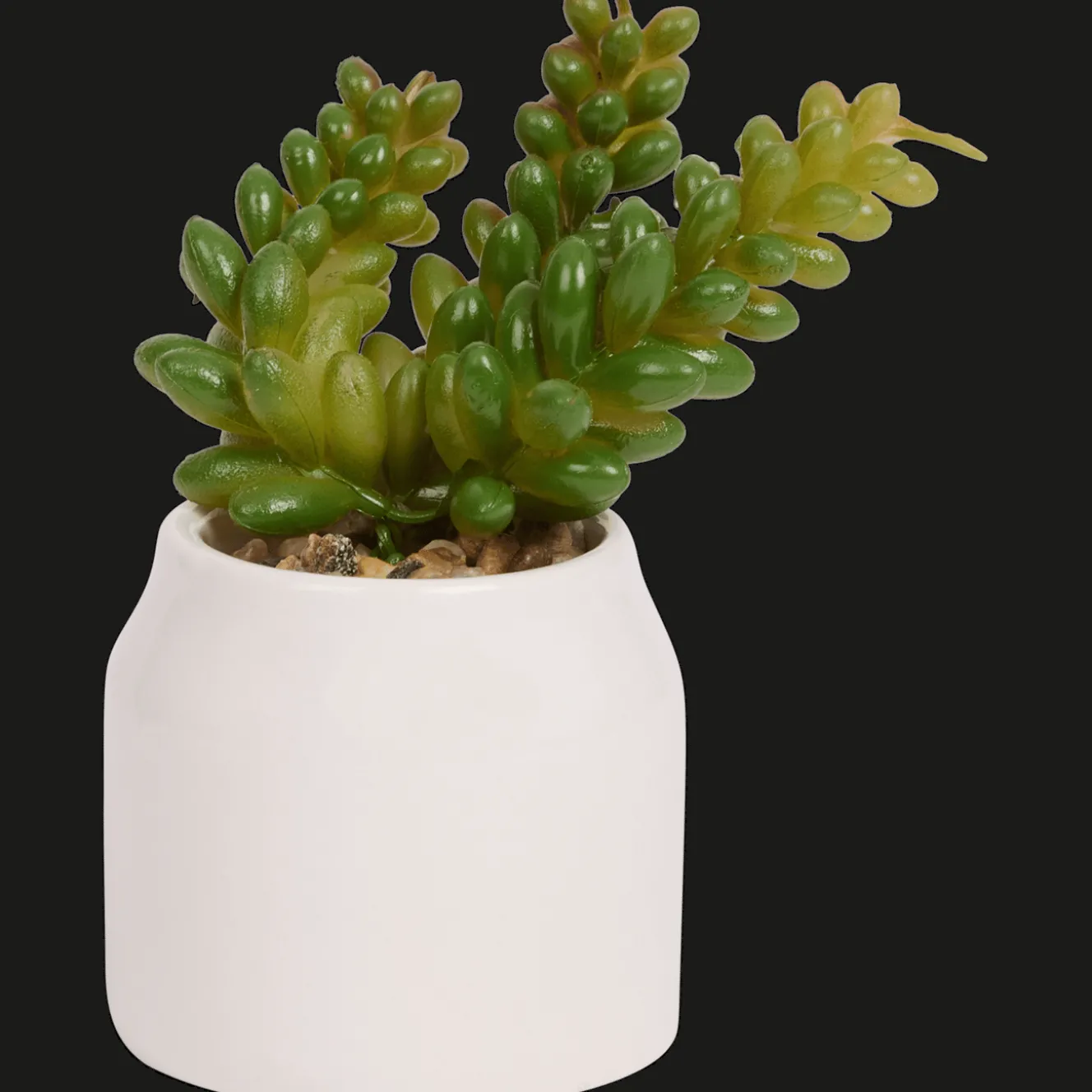 Plantes Et Fleurs Artificielles*Action Plante grasse artificielle en pot Home Accents
