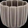 Services*Action Tasse Lotus