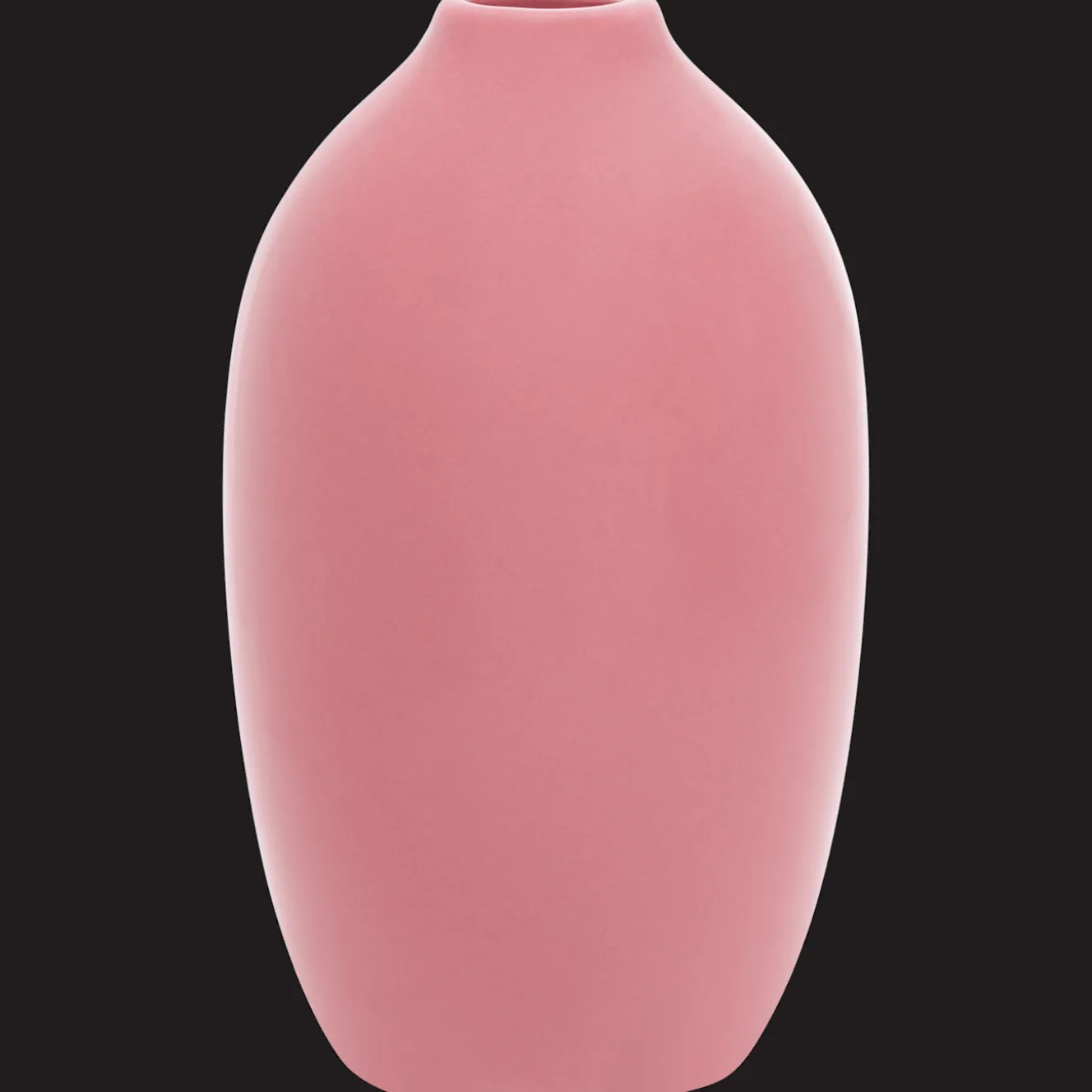 Pots Et Vases*Action Vase Home Accents Diana